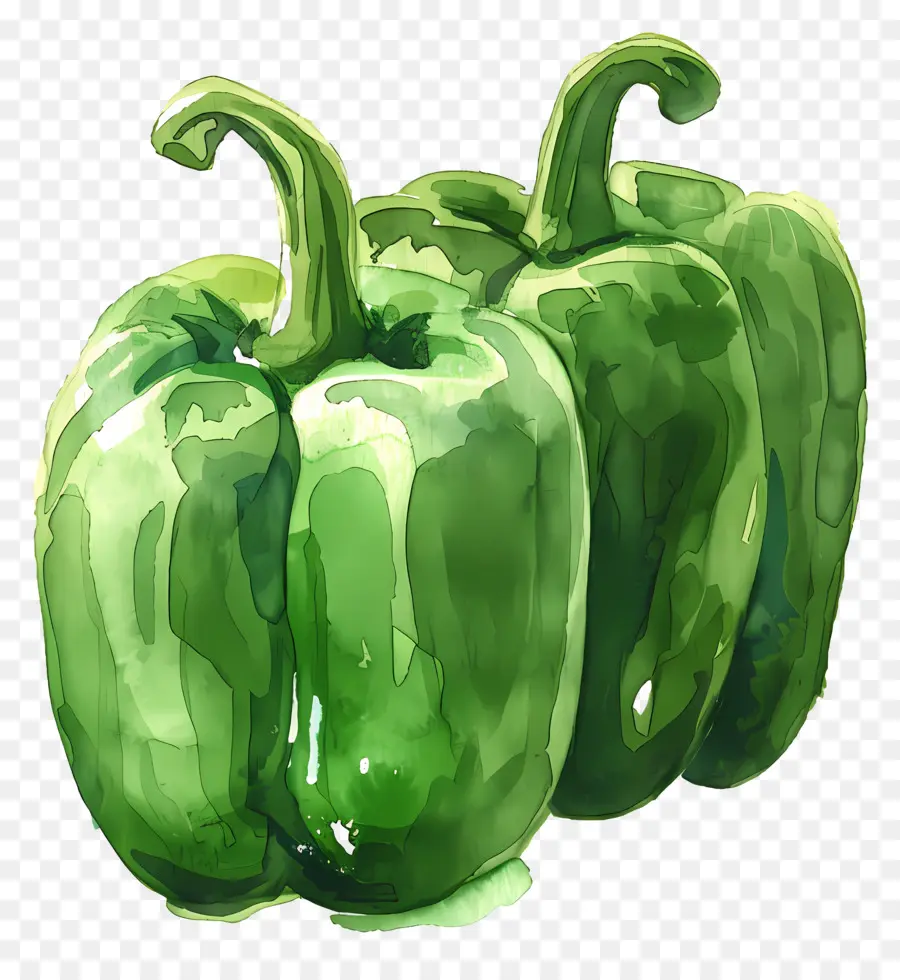 Paprika，Paprika Green Bell PNG