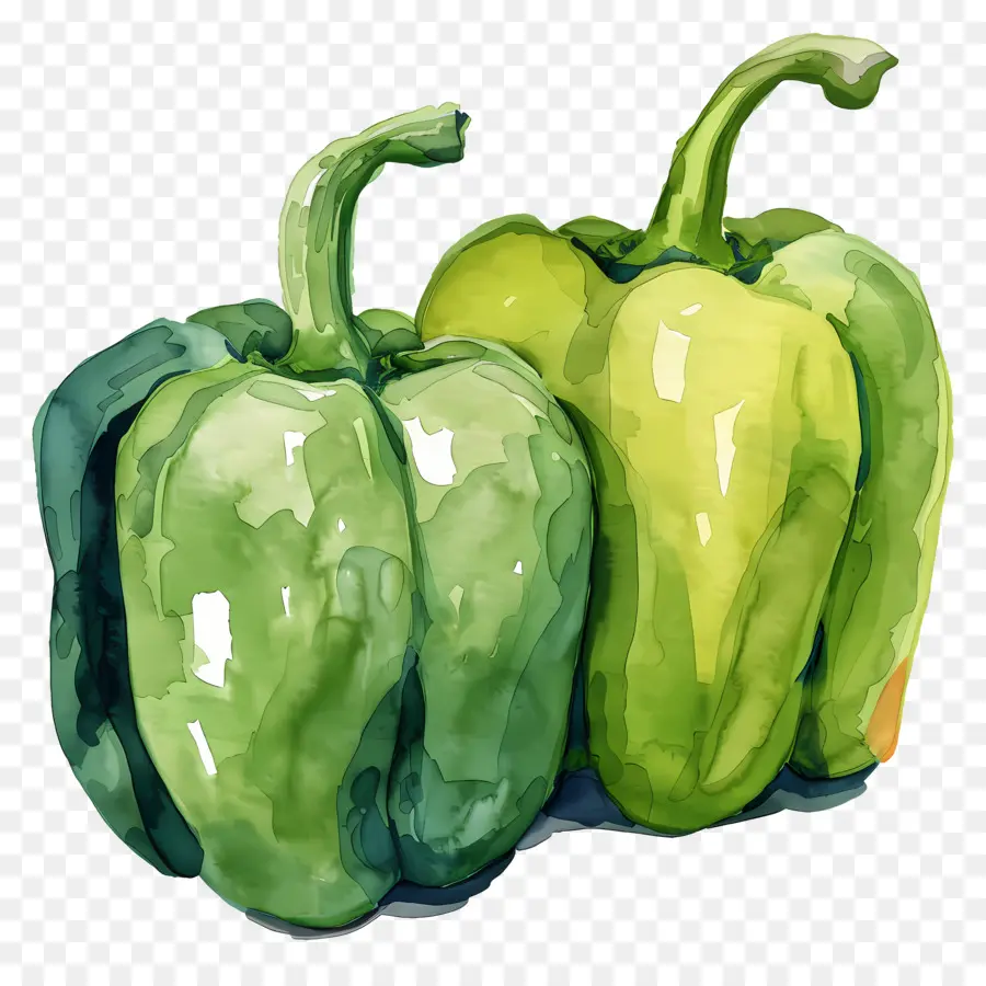 Paprika，Lukisan Paprika Hijau PNG