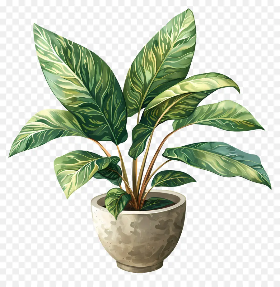 Tanaman Pot，Daun Daun PNG