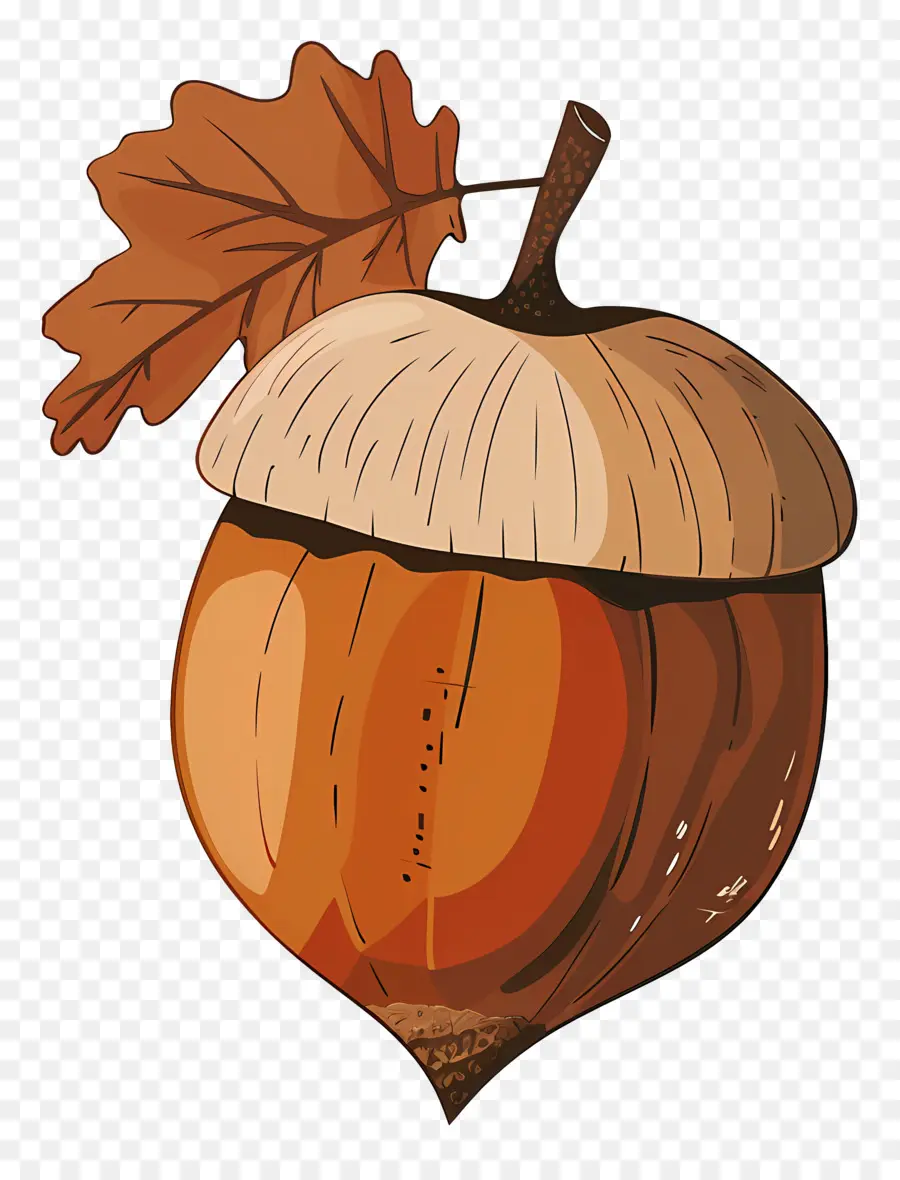 Acorn，Daun PNG