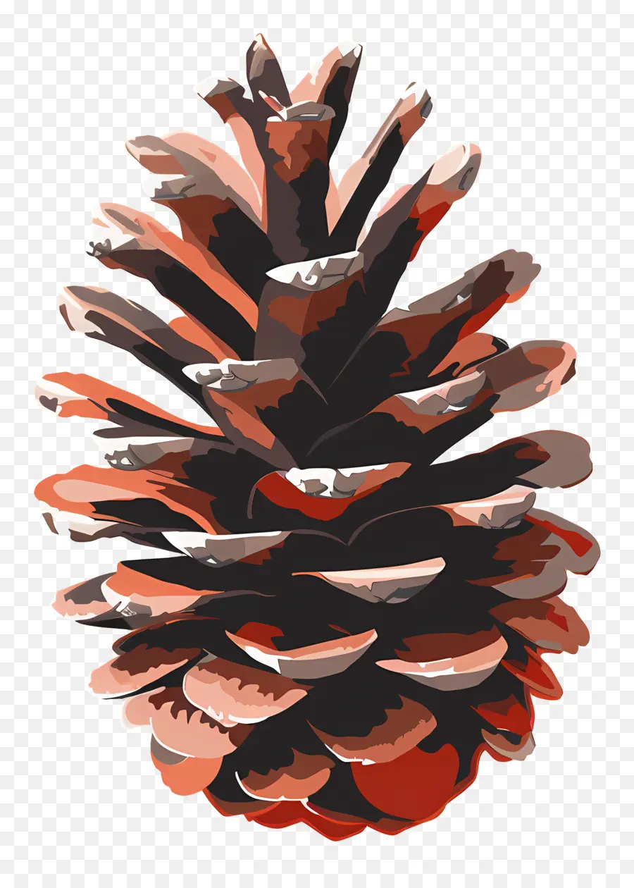 Biji Pinus，Kerucut PNG