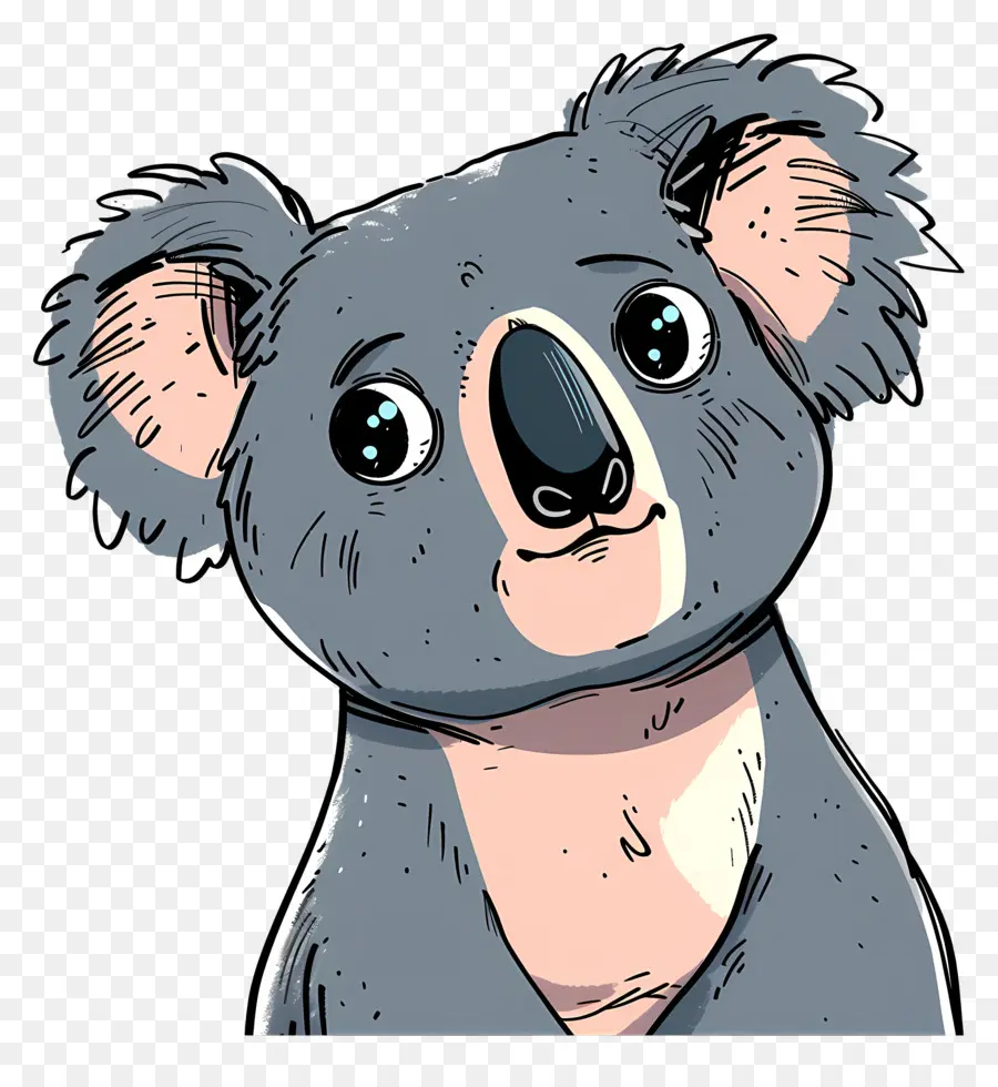 Koala，Koala Beruang PNG