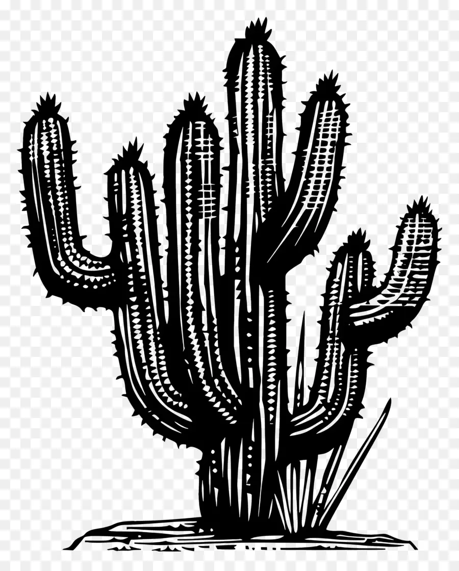 Linocut Cacti，Kaktus PNG