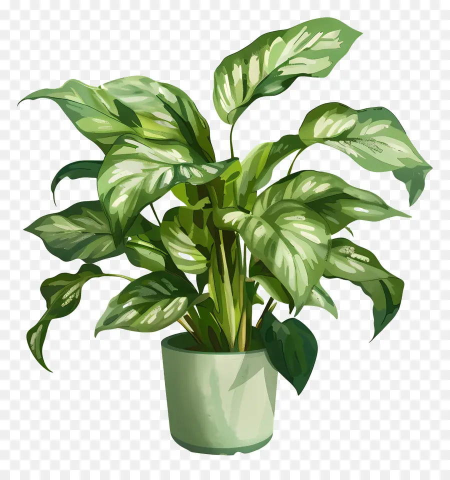 Tanaman Dalam Pot，Daun Daun PNG