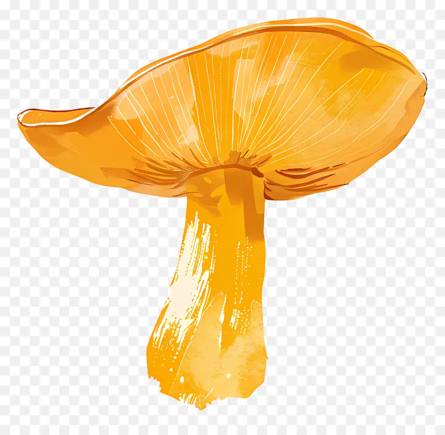 Jamur Chanterelle，Jamur Berbentuk Lonceng PNG