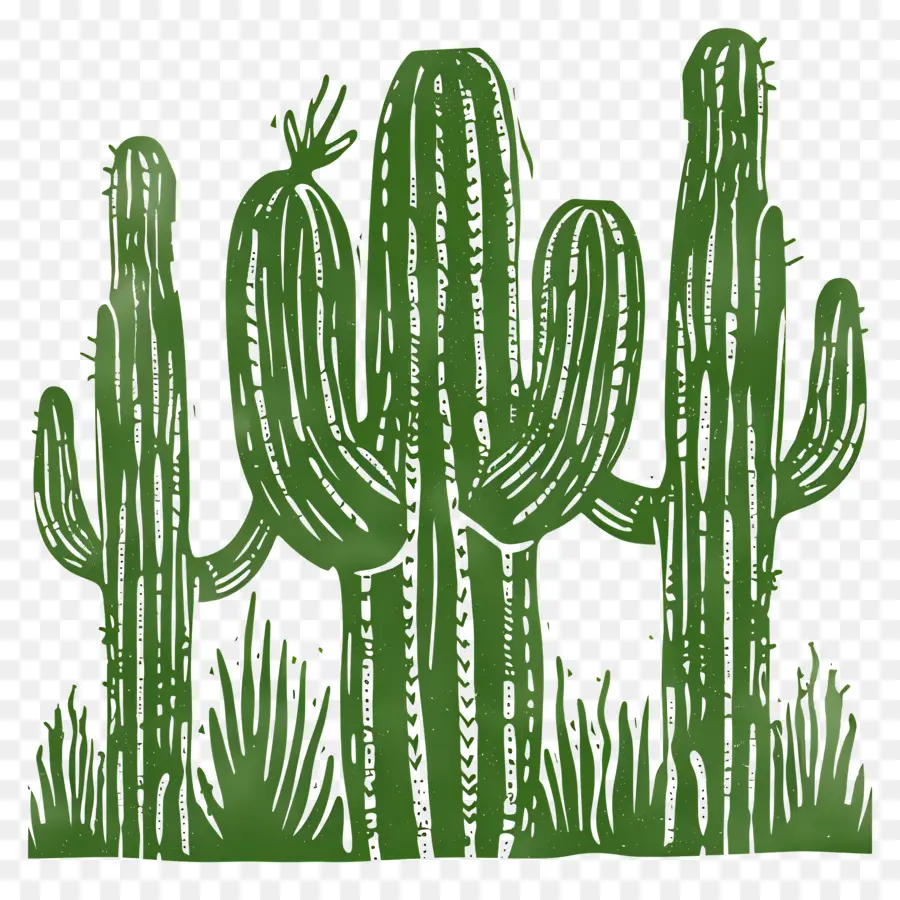 Linocut Cacti，Kaktus PNG