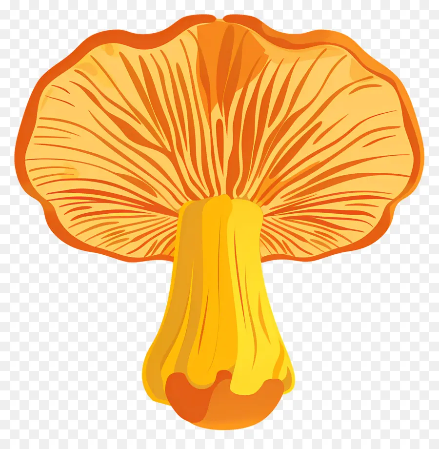 Jamur Chanterelle，Jamur PNG