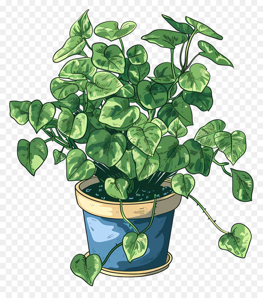 Houseplant Bergelombang，Tanaman Hijau PNG