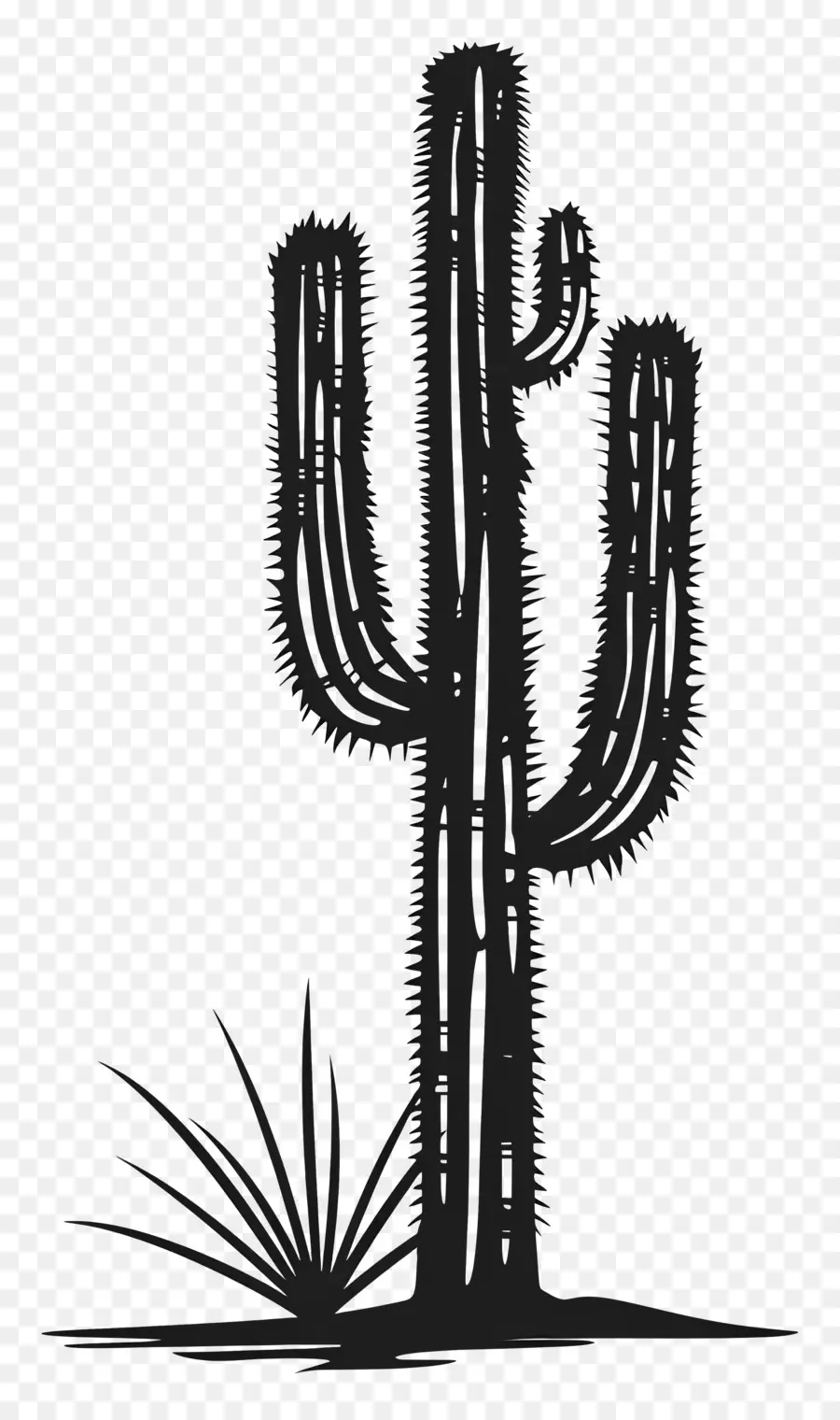 Siluet Saguaro Kaktus，Kaktus PNG