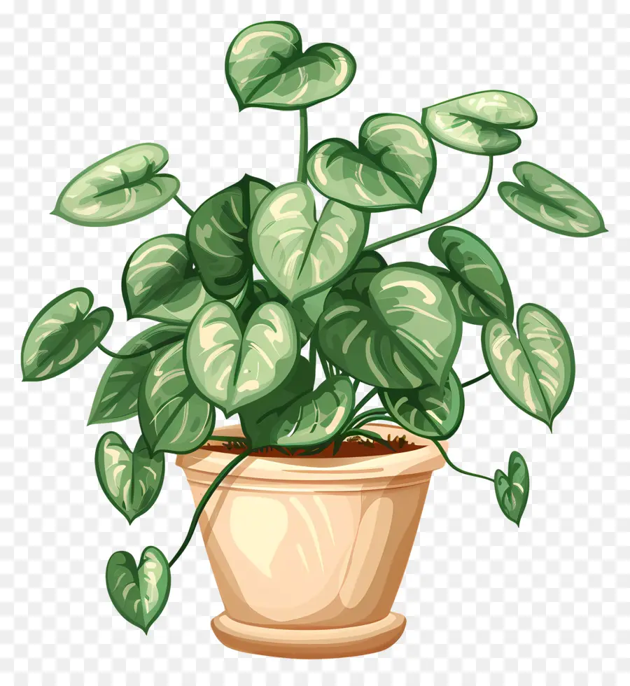 Houseplant Bergelombang，Pot Tanaman PNG