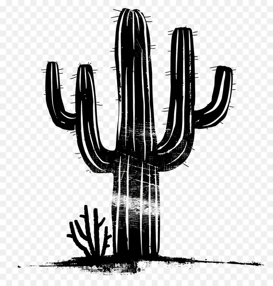 Siluet Saguaro Kaktus，Kaktus PNG