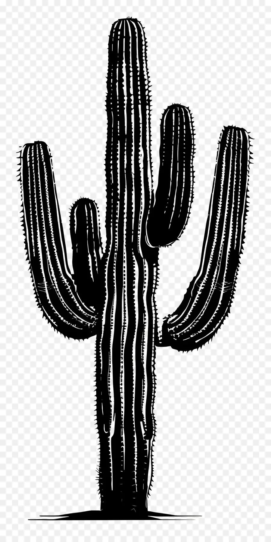 Siluet Saguaro Kaktus，Kaktus PNG