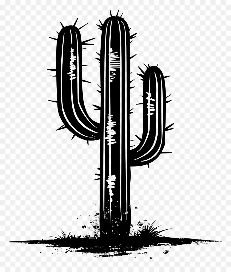 Siluet Saguaro Kaktus，Kaktus PNG