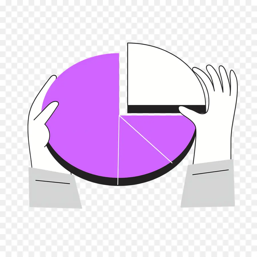 Pie Chart，Visualisasi Data PNG