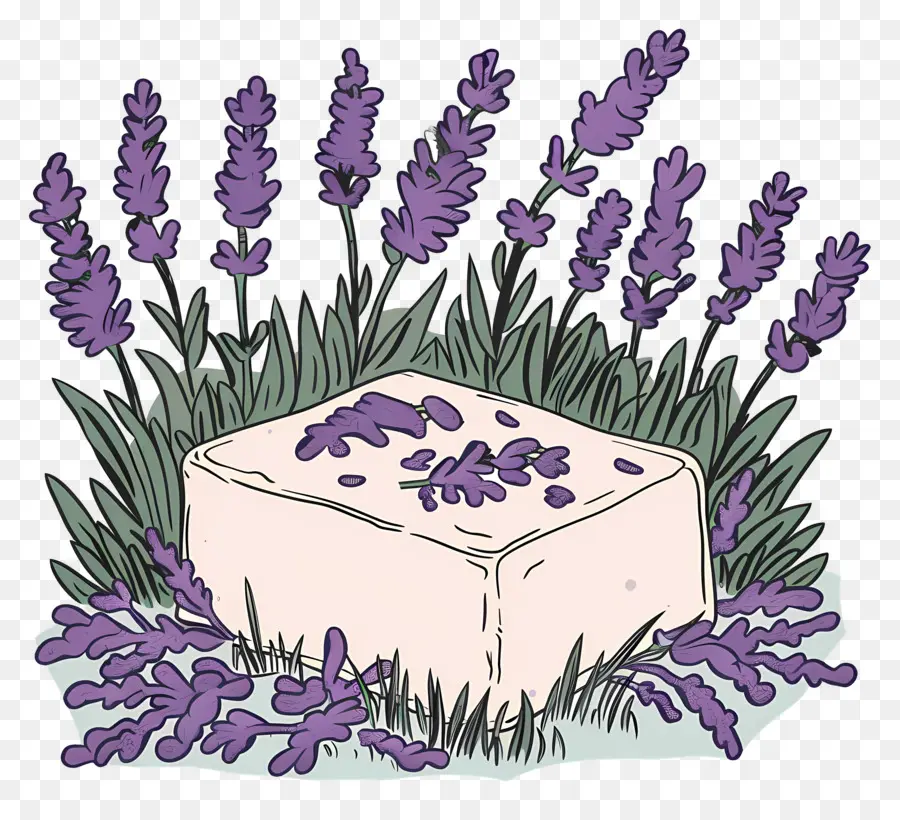 Lavender Soap Bar，Lavender PNG