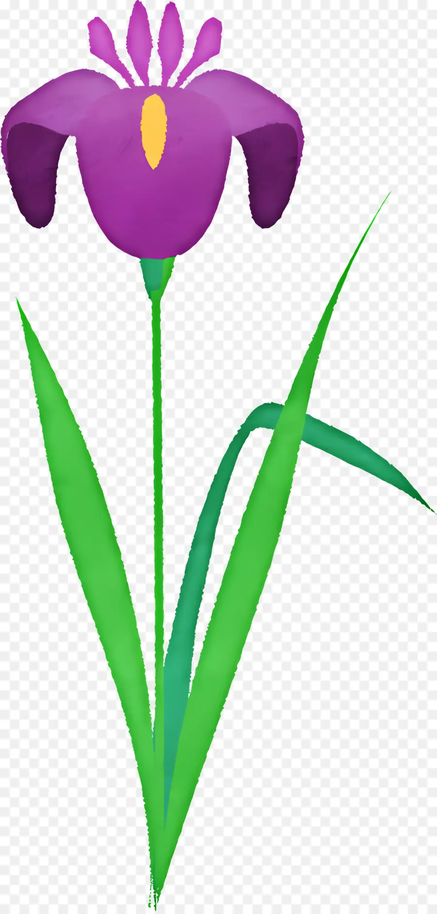 Bunga Iris，Iris Ungu PNG