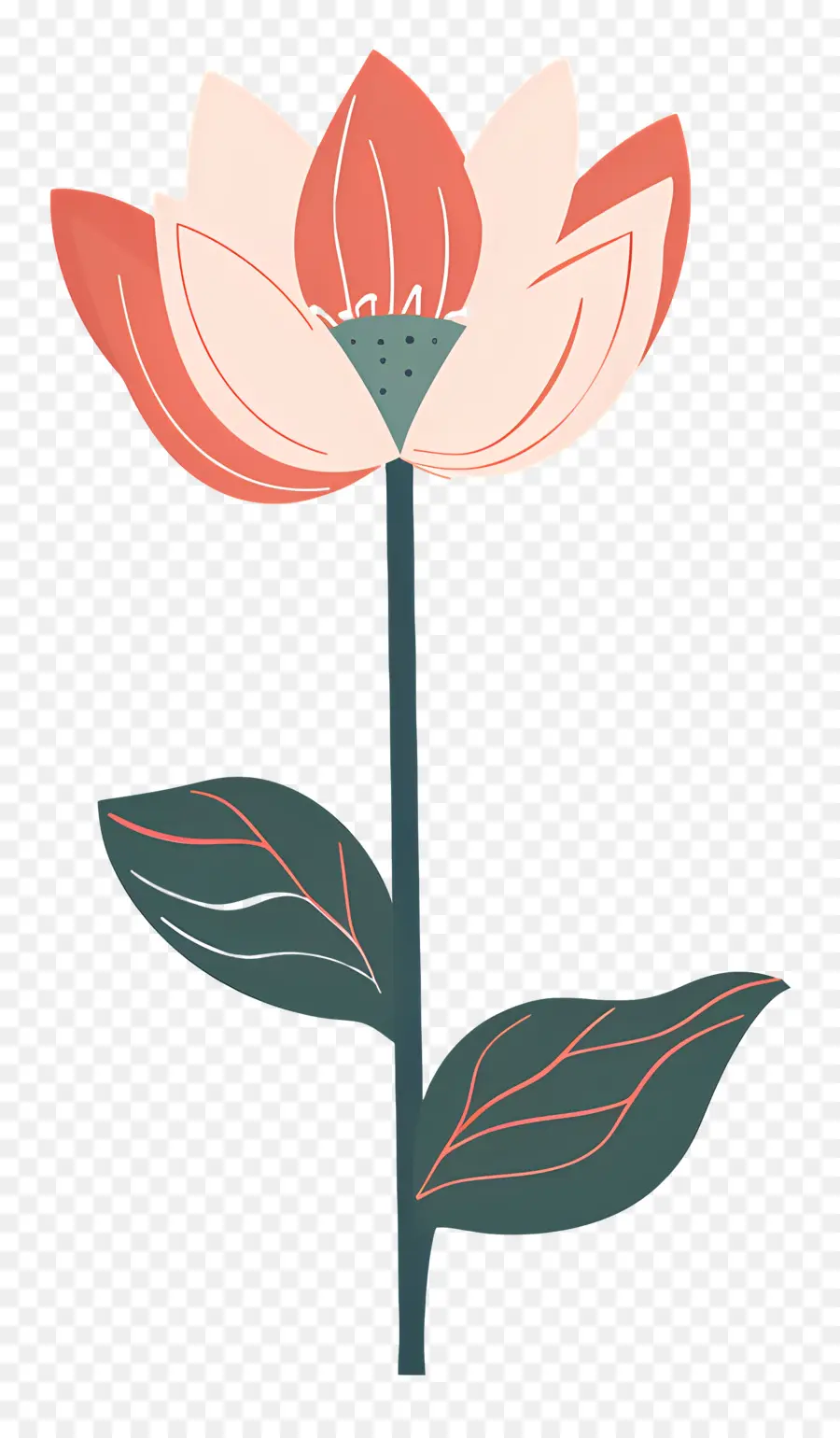 Lotus，Bunga Merah Muda PNG