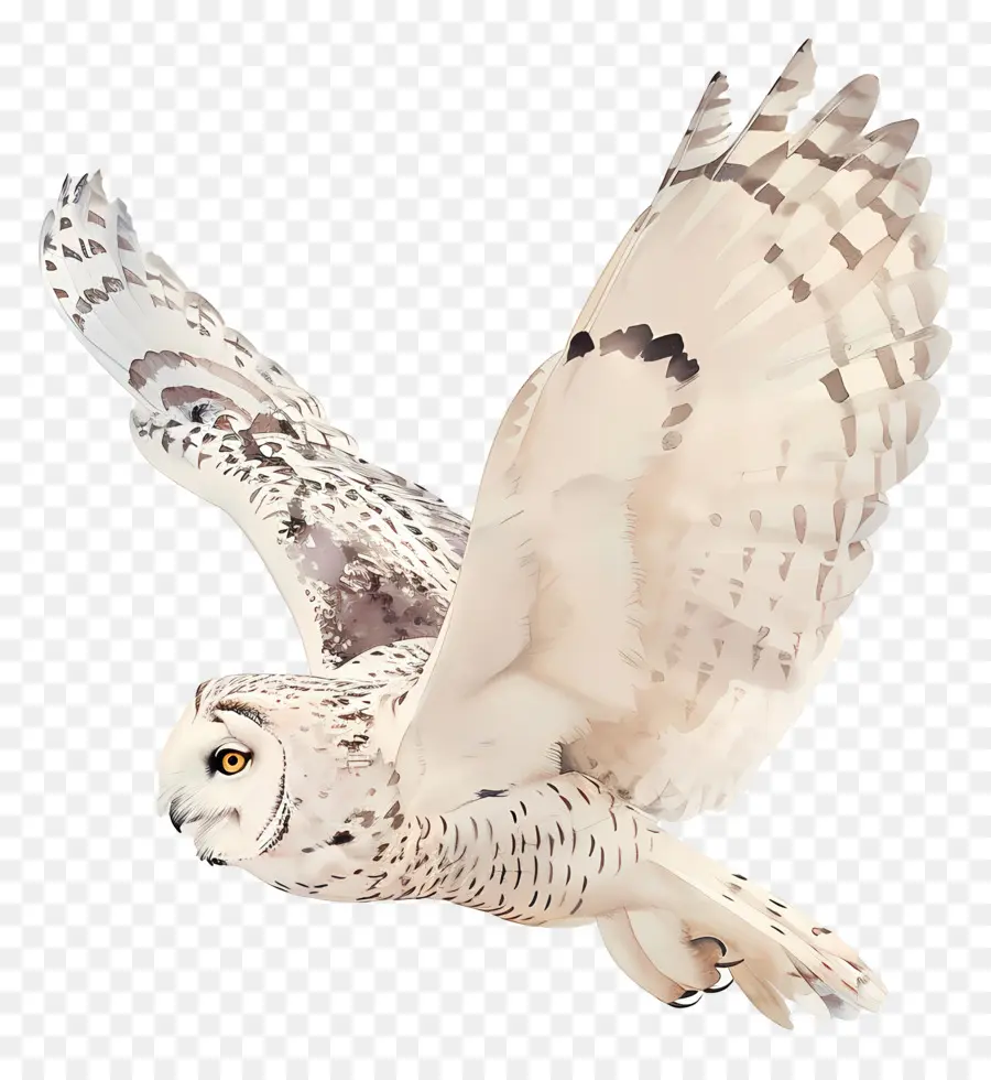 Burung Hantu，Snowy Owl PNG