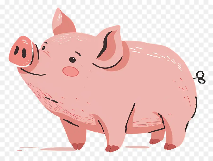 Babi，Babi Menggambar PNG