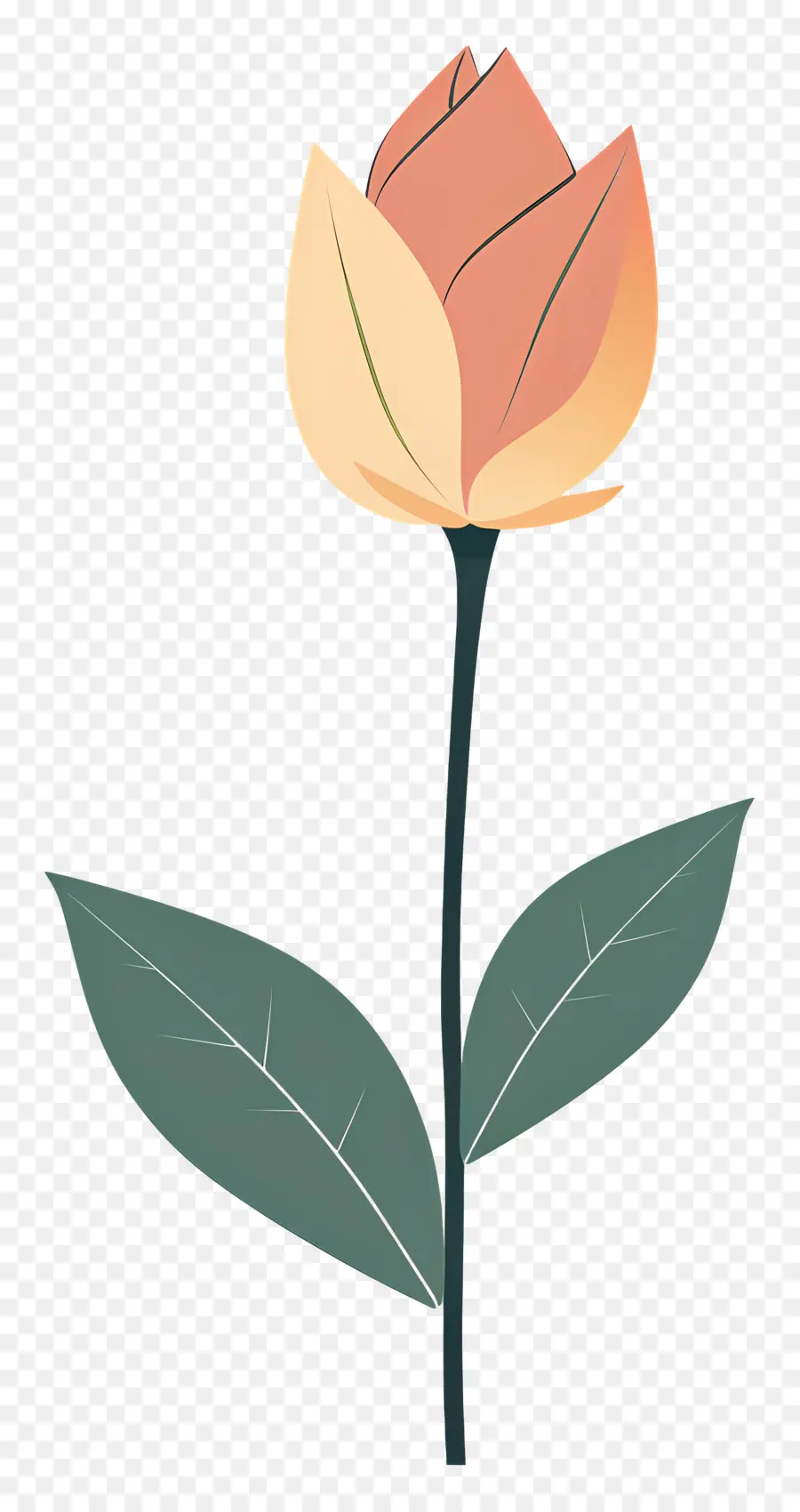 Lotus Bud，Cahaya Merah Muda Bunga PNG