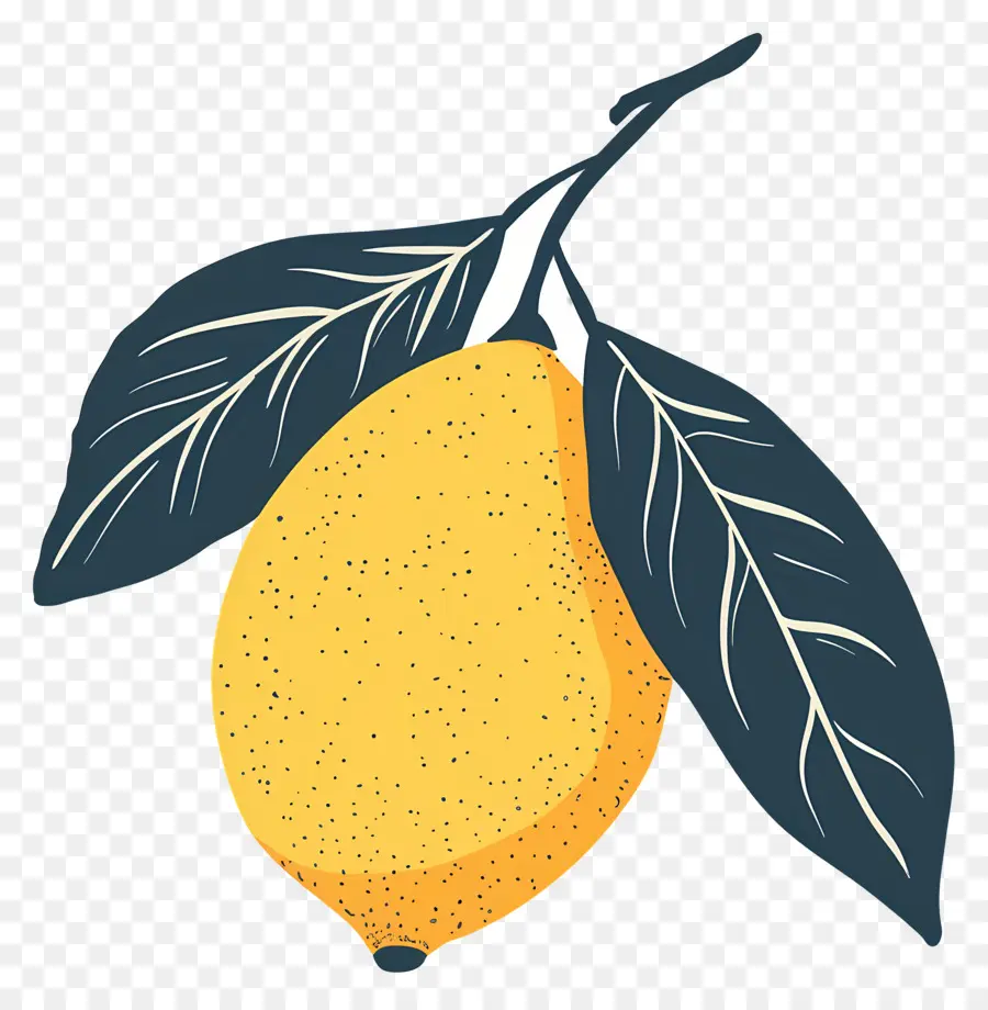 Lemon，Jeruk PNG