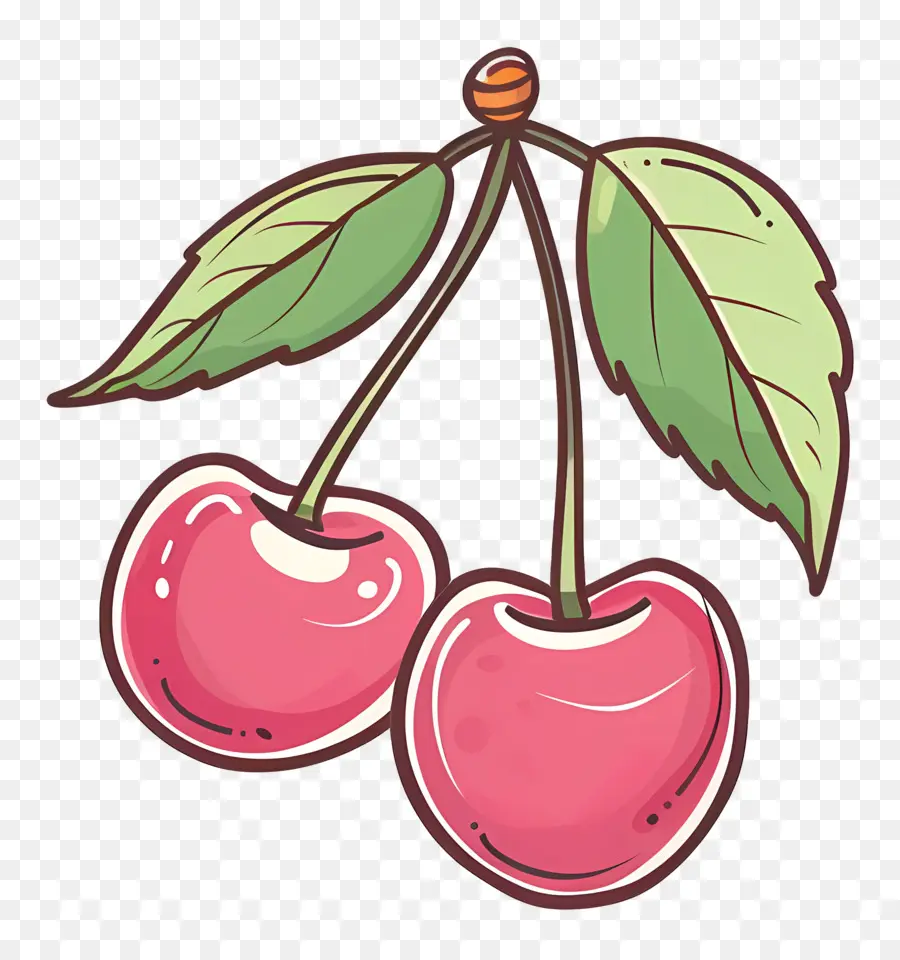 Cherry，Ilustrasi PNG