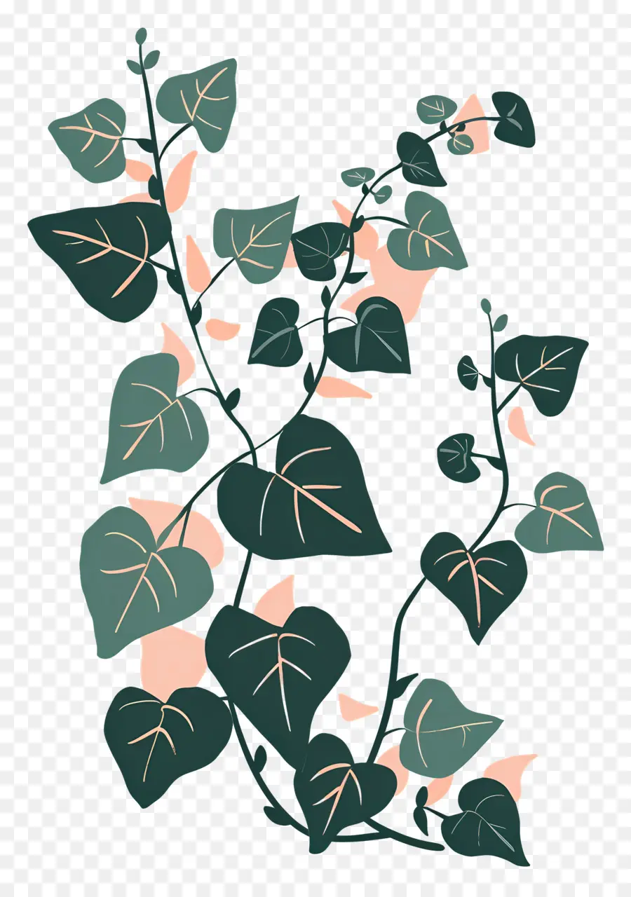 Ivy，Pabrik PNG