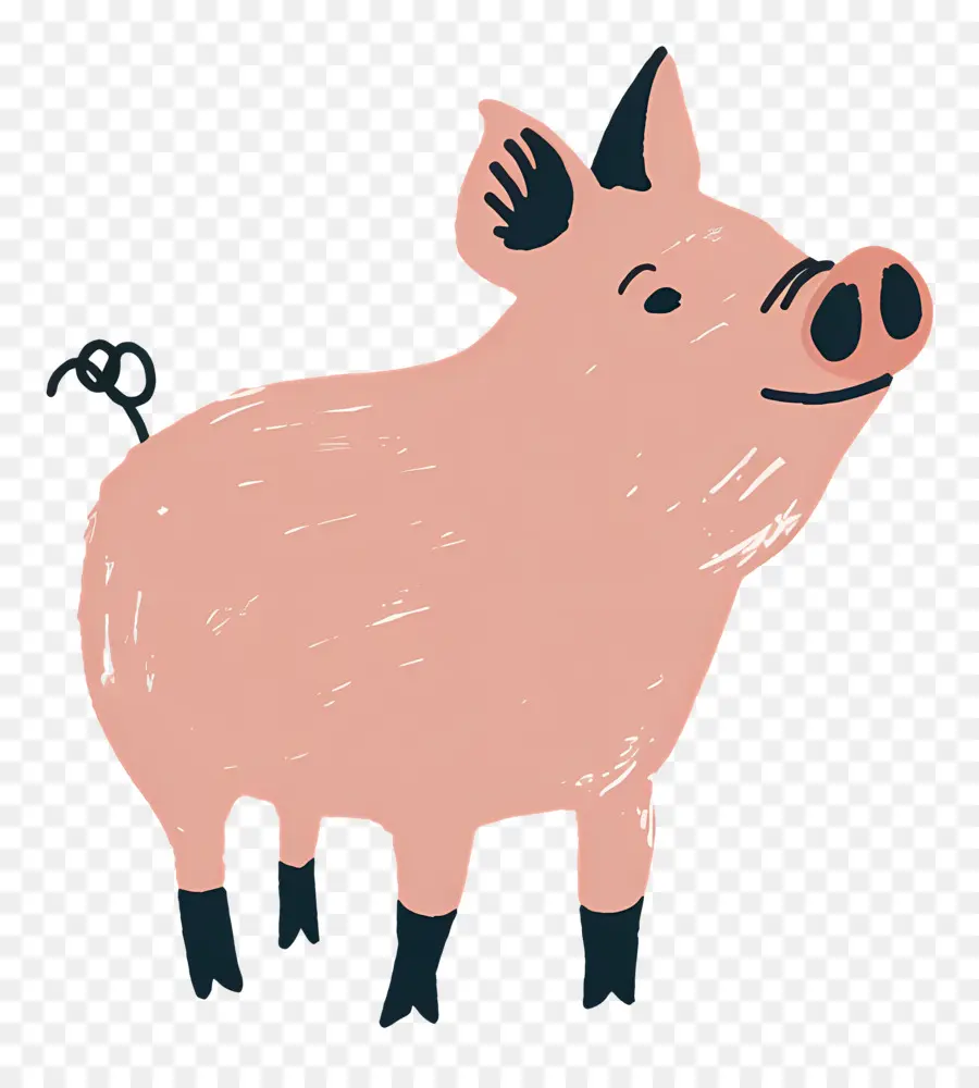 Babi，Babi Lucu PNG