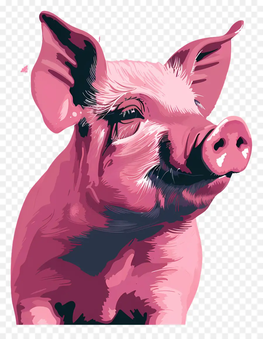 Babi，Hewan PNG