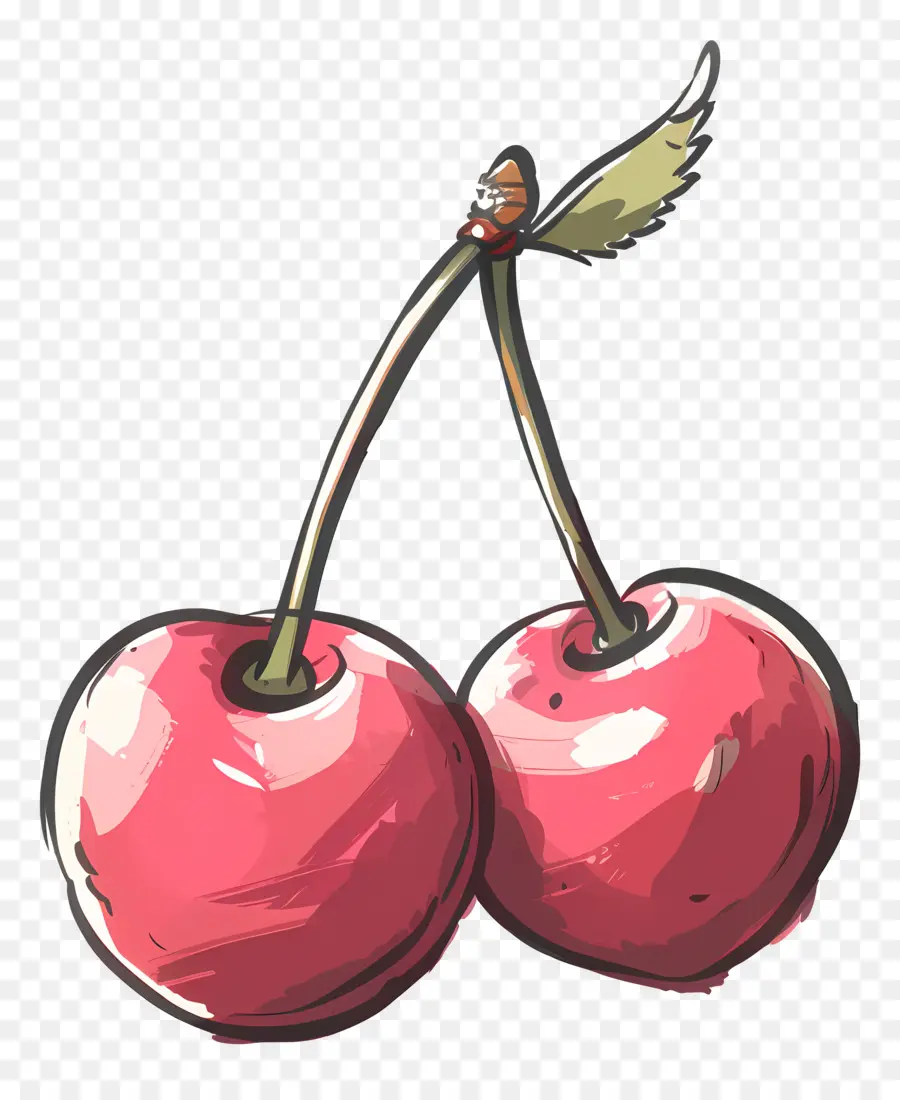 Cherry，Ceri PNG