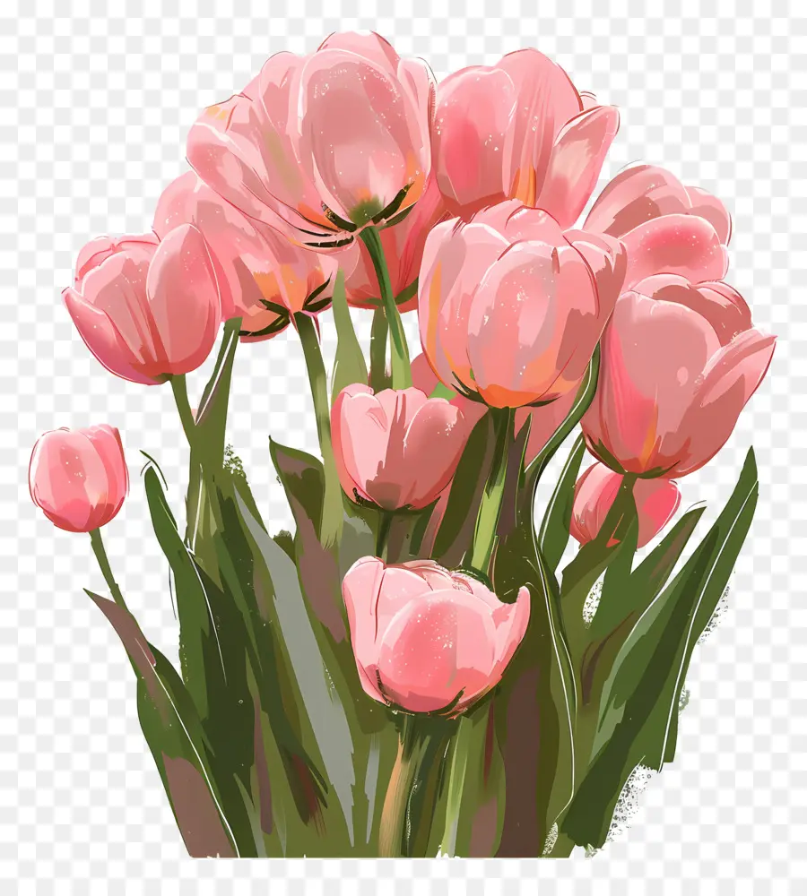 Pink Tulips，Tulip PNG