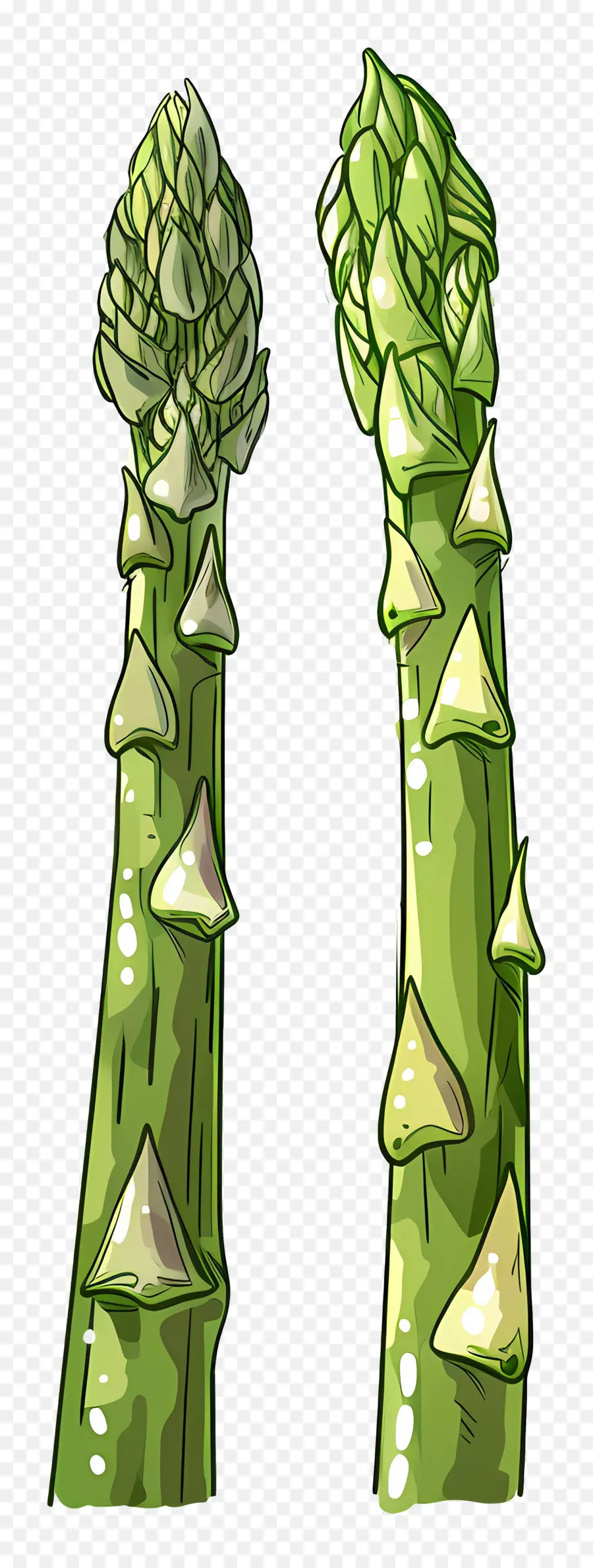 Asparagus，Hijau PNG