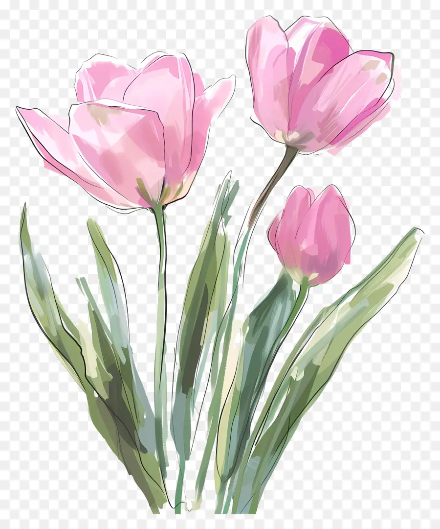 Pink Tulips，Hijau Daun PNG