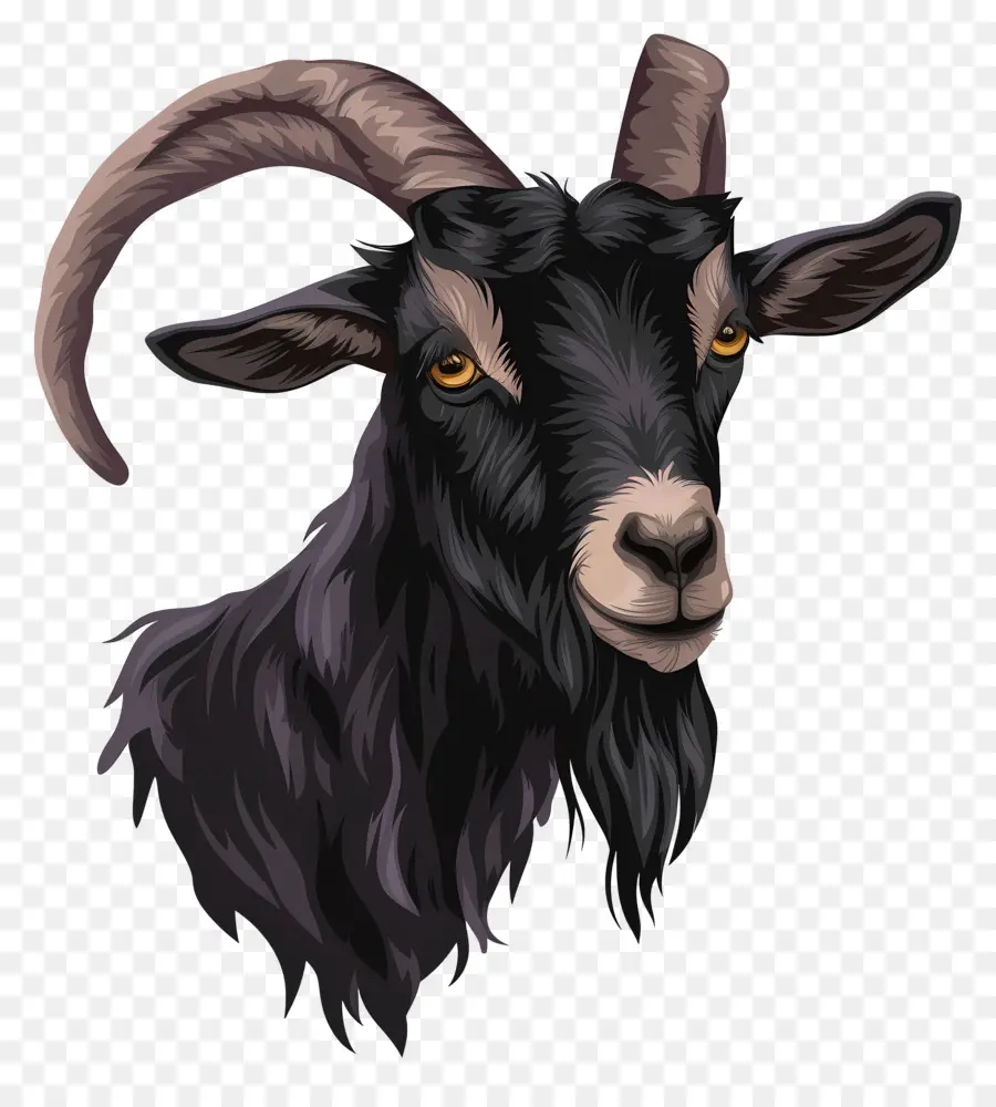 Kambing，Kambing Hitam PNG