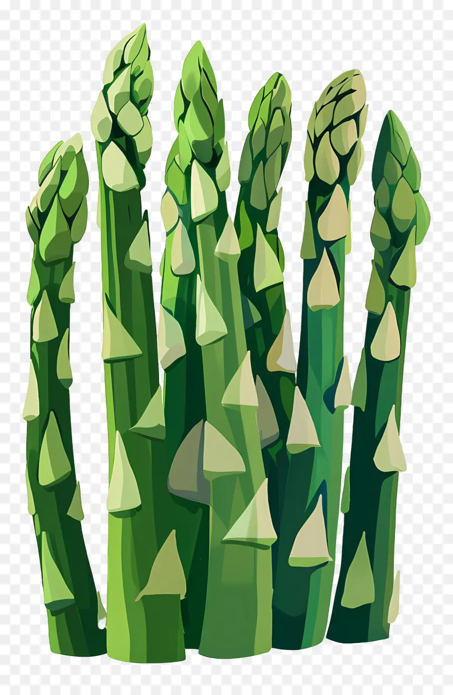 Asparagus，Hijau PNG