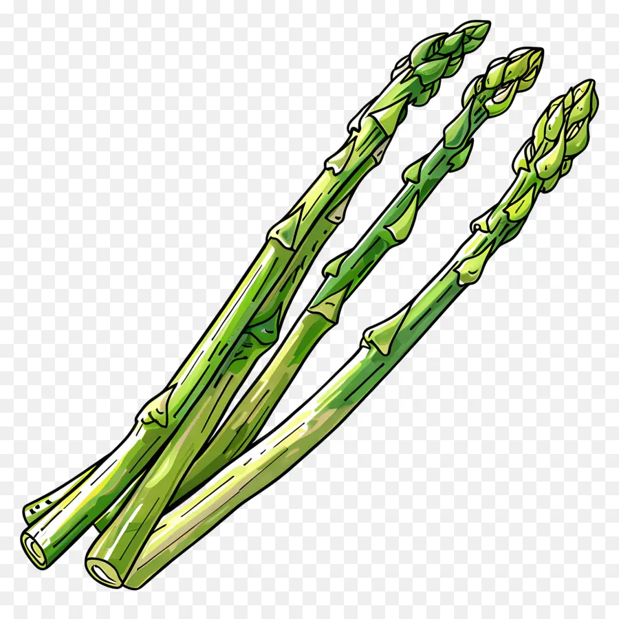 Asparagus，Hijau PNG