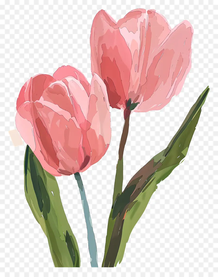 Pink Tulips，Karangan Bunga Tulip PNG