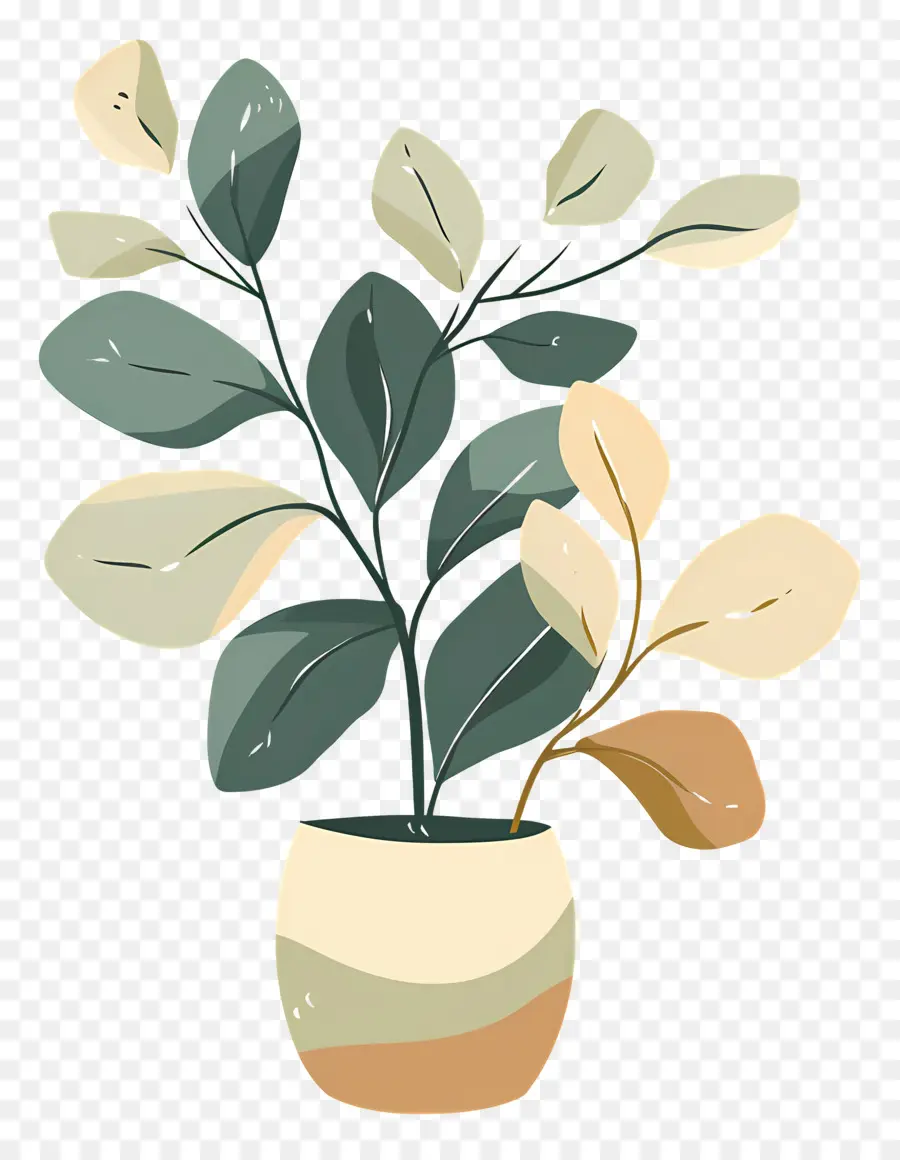 Houseplant Bergelombang，Tanaman Pot Hijau PNG