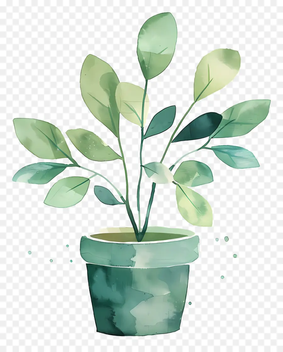 Houseplant Bergelombang，Tanaman Pot Hijau PNG