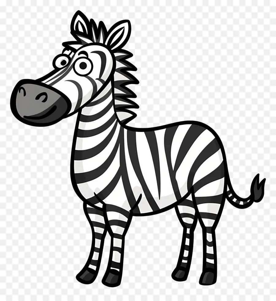 Kartun Zebra，Zebra PNG