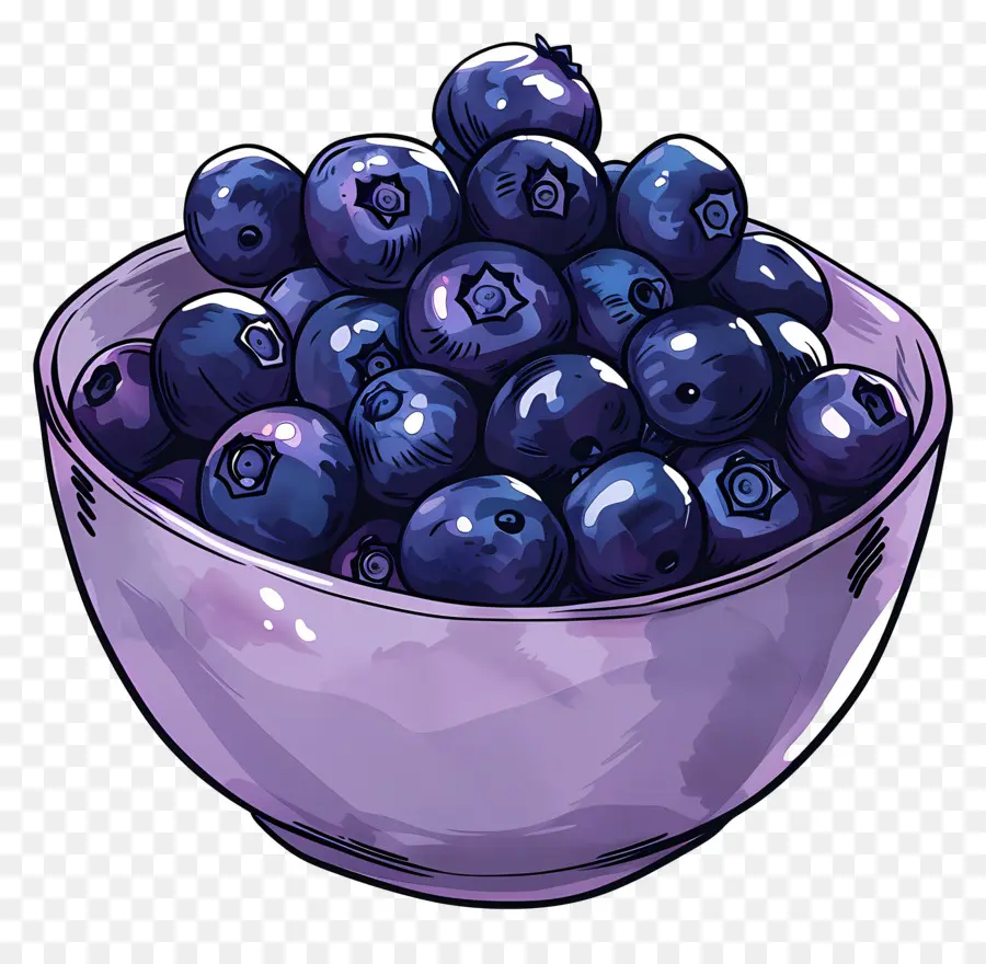 Semangkuk Blueberry，Blueberry PNG