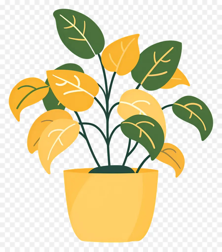 Houseplant Bergelombang，Tanaman Berbunga Kuning PNG