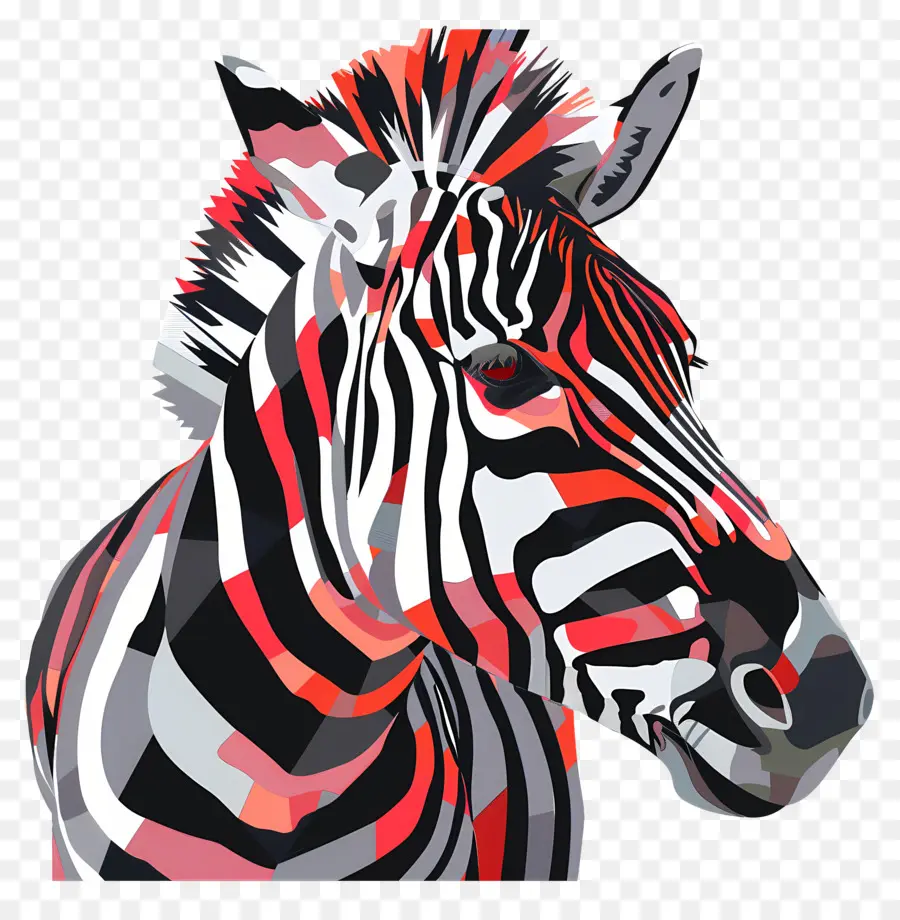 Zebra，Kepala Zebra PNG