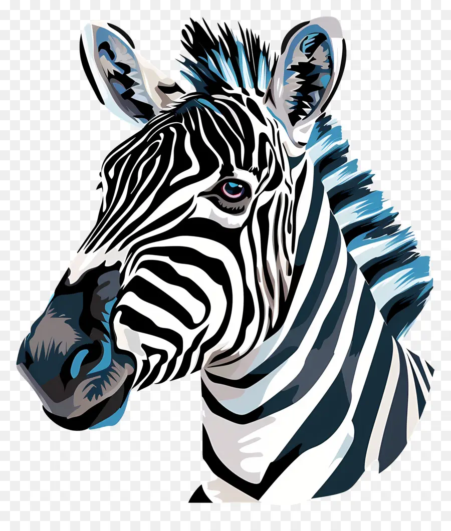 Zebra，Zebra Kepala PNG