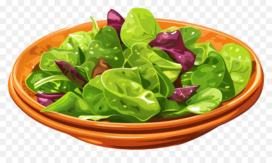 Hijau Salad，Salad PNG