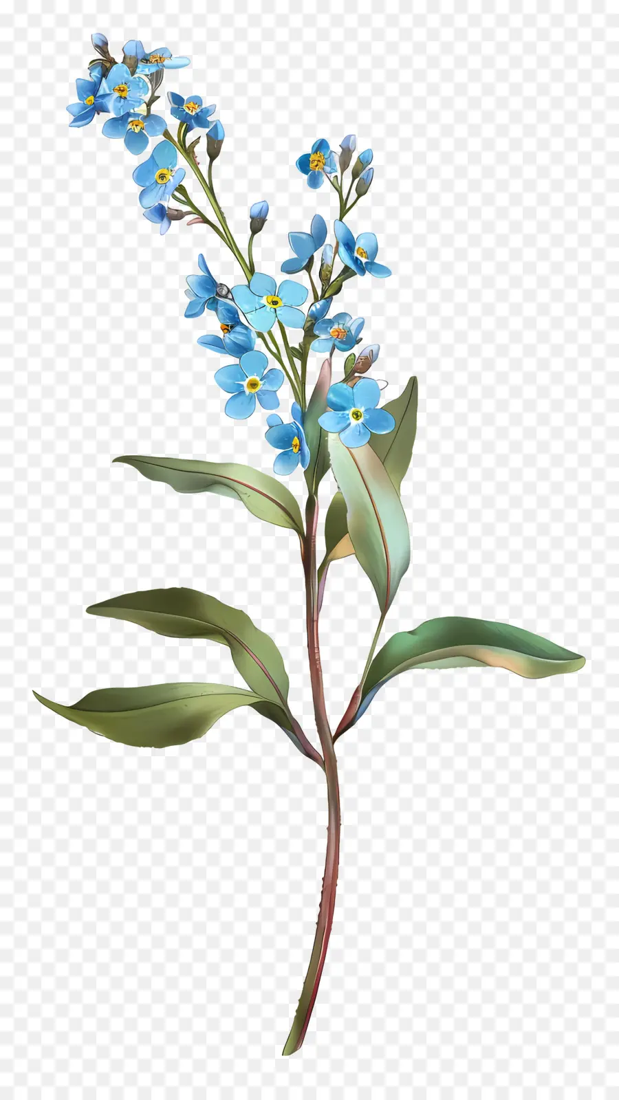 Lupakan Aku Tidak，Forget Me Not PNG