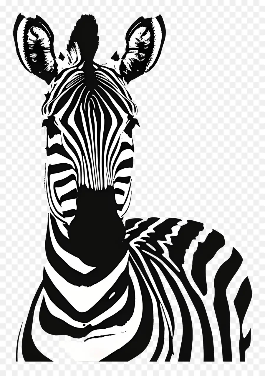 Zebra，Garis Garis PNG