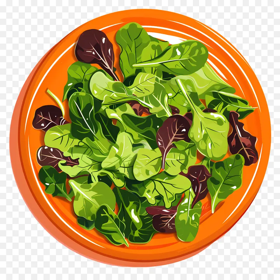 Hijau Salad，Salad PNG