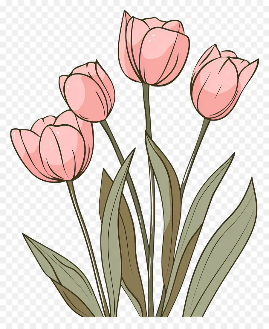 Tulip Merah Muda，Tulip Merah Dan Ungu PNG