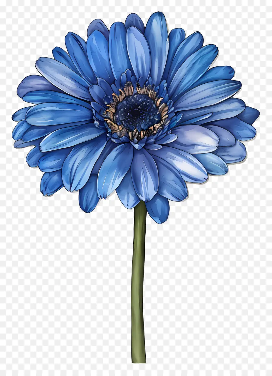 Gerbera Biru，Bunga Biru PNG